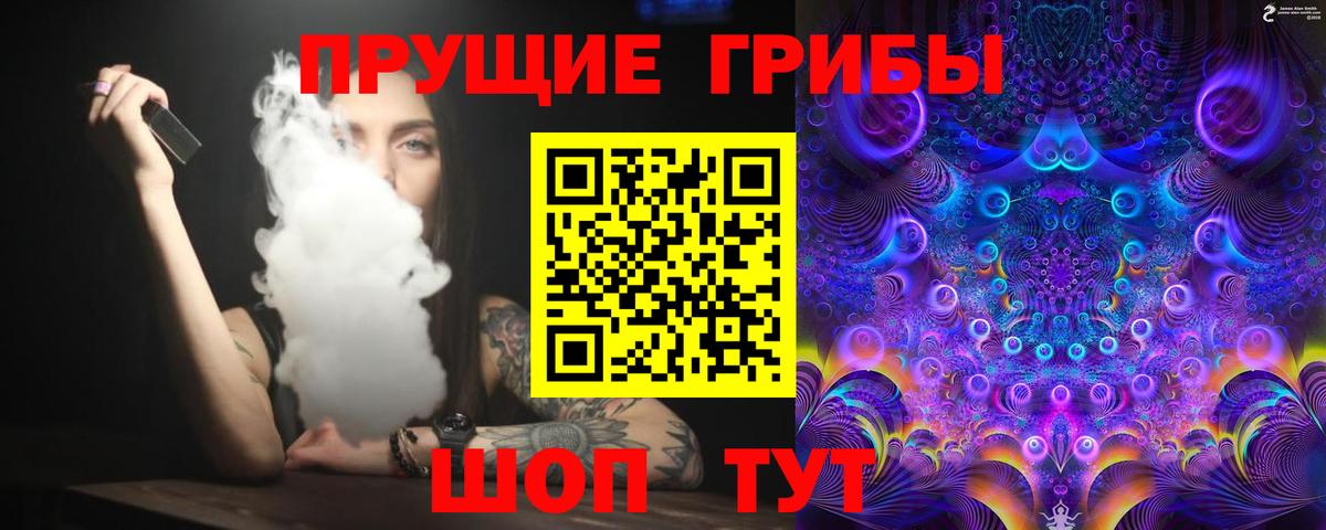 Всеволожск  Псилоцибиновые грибы прущие грибы  Вход с VPN 