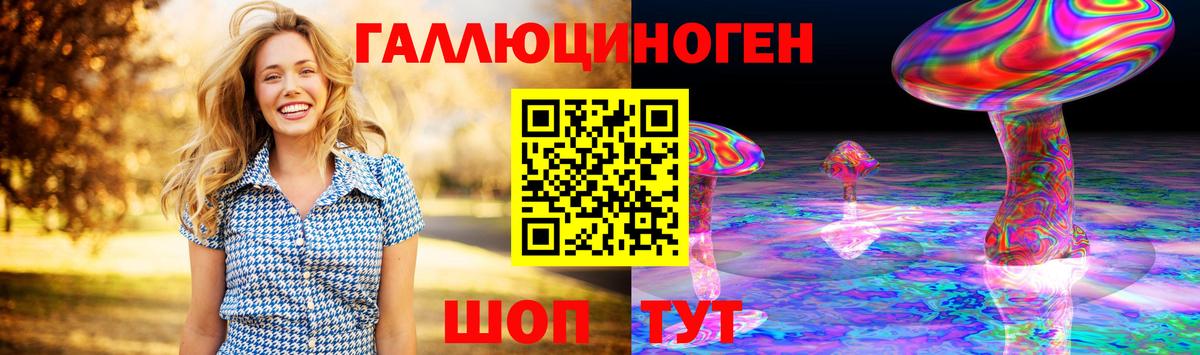 Псилоцибиновые грибы Psilocybe Всеволожск